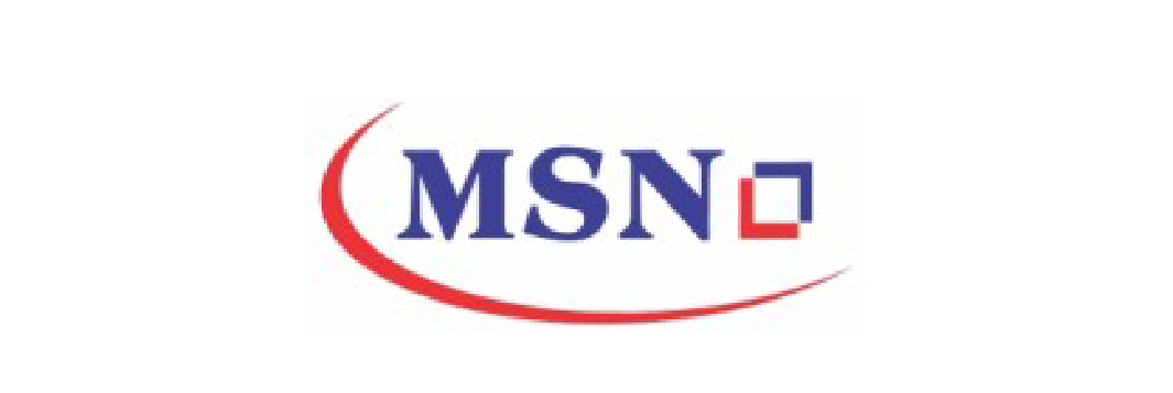 MSN Logo